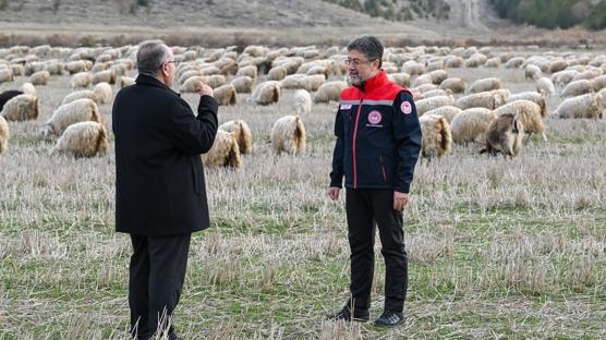 Tiftik iin yeni dnem: zel destek geliyor