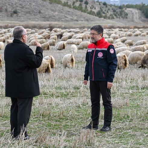 Tiftik i�in yeni d�nem: �zel destek geliyor