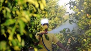 Zehirlenme vakaları sonrası yeni tedbir