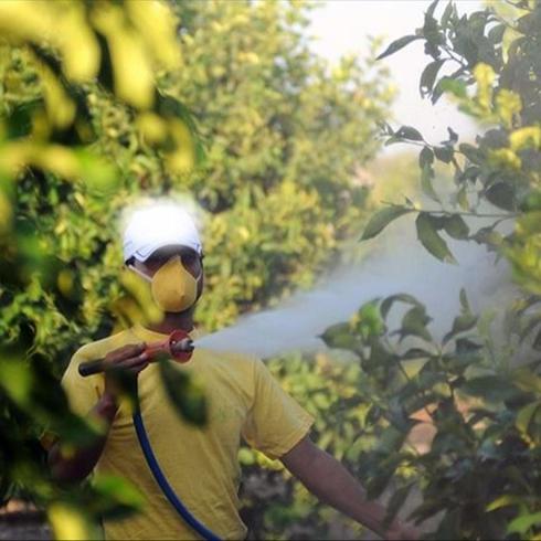 Zehirlenme vakalar� sonras� yeni tedbir