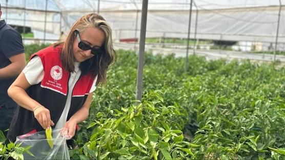 Gda gvenliinde 'B-Reete' dnemi