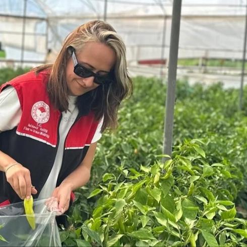 Gıda güvenliğinde 'B-Reçete' dönemi