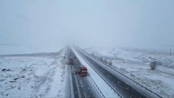 Turuncu kaplanlar 'kar' mesaisinde