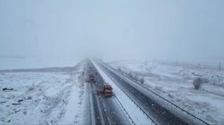 Turuncu kaplanlar 'kar' mesaisinde