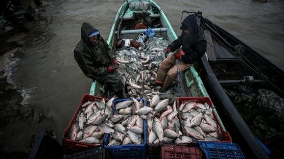 Balıkçılıkta zirve Türkiye'nin! Avrupa'ya örnek olduk