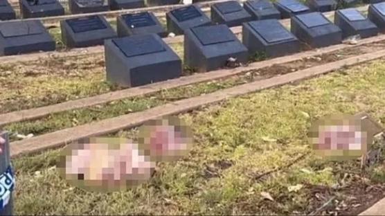 Mslman mezarlna domuz kafas braktlar