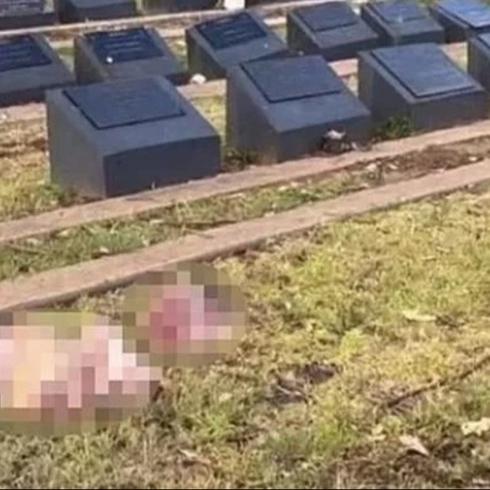 M�sl�man mezarl���na domuz kafas� b�rakt�lar