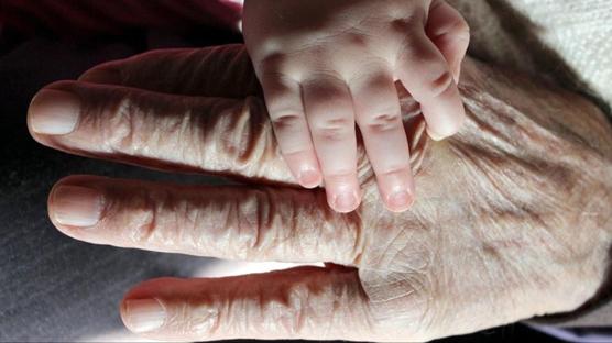 Bilim insanları yaşlanmayı yavaşlatmanın sırrını buldu: Cevap mitokondrilerde...