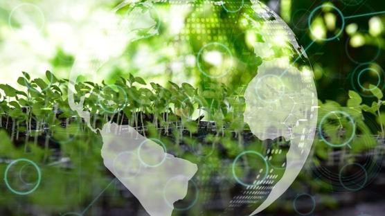 İklim eyleminde Türkiye vurgusu! Liderlik rolü üstleniyor