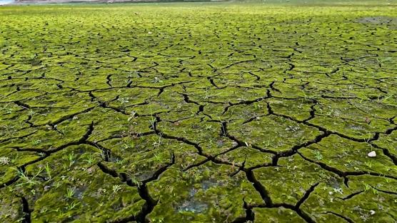 �stanbul'da kurakl�k alarm�