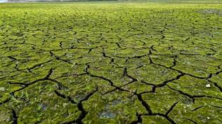 �stanbul'da kurakl�k alarm�