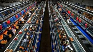 Mandalinada tarihi rekor! �hracat 615 milyon dolara dayand�