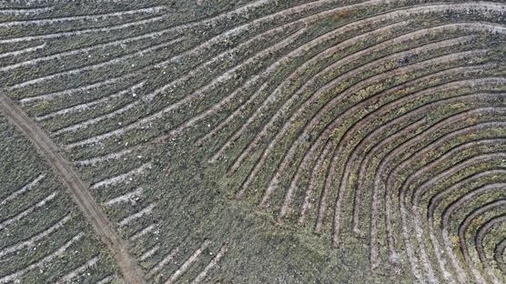 T�rkiye'nin en kirli havas�na kar�� ye�il hamle! 3 bin d�n�m orman olacak