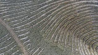 T�rkiye'nin en kirli havas�na kar�� ye�il hamle! 3 bin d�n�m orman olacak