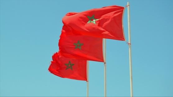 'Arapçayı korumak için Fransızca egemenliğine son ver' çağrısı