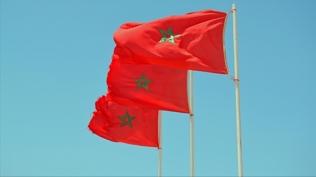 'Arapçayı korumak için Fransızca egemenliğine son ver' çağrısı