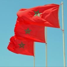 'Arap�ay� korumak i�in Frans�zca egemenli�ine son ver' �a�r�s�