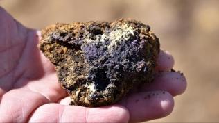 Çin'de keşfedilen yeni mineralin adı belli oldu