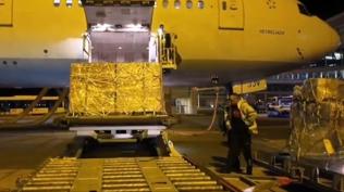 Tarihi eserler vatan�na d�nd�