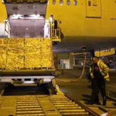 Tarihi eserler vatan�na d�nd�