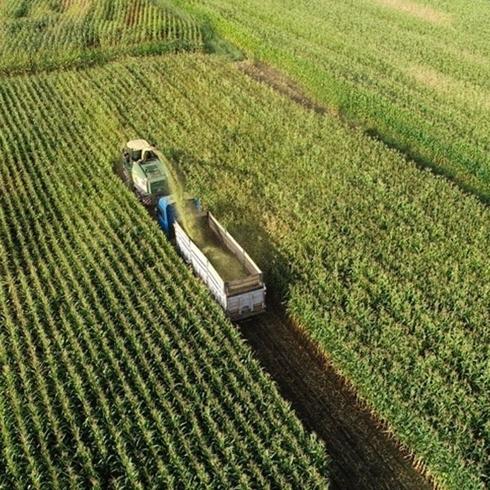 2,5 milyar liral�k tar�msal destekleme �demeleri hesaplara aktar�l�yor