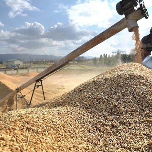 G�neydo�u hububatta vites y�kseltti: �hracat 3,2 milyar dolar� g�rd�