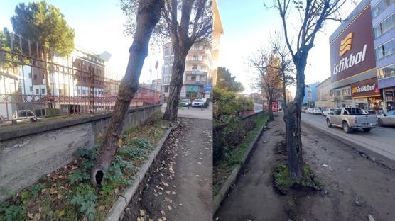 'Yeşil dokuya zarar veriliyor' iddialarına Trabzon Büyükşehir Belediyesi'nden yalanlama