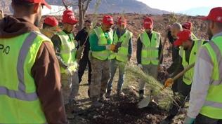 Bakanl�ktan Gabar'da �ifte hamle: Ye�il seferberlik ba�lat�ld�