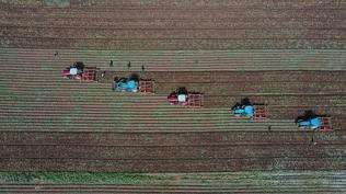 Tar�m Bakanl���'ndan k�rsala y�zde 100 hibe m�jdesi