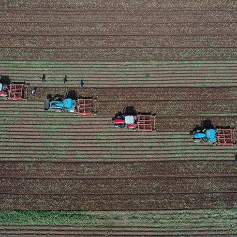 Tar�m Bakanl���'ndan k�rsala y�zde 100 hibe m�jdesi