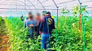 7 y�l sonra sakland��� serada yakaland�