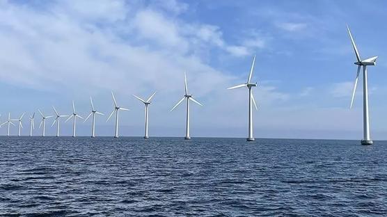 Trump y�netiminden r�zgar enerjisi projesine veto... Program ask�ya al�nd�