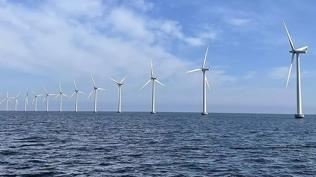 Trump y�netiminden r�zgar enerjisi projesine veto... Program ask�ya al�nd�