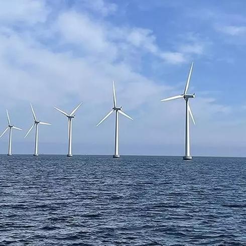 Trump y�netiminden r�zgar enerjisi projesine veto... Program ask�ya al�nd�