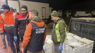 Boy sınırını aşamadılar: 615 kilo istavrite el konuldu