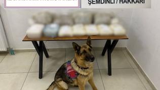 �emdinli'de zehir tacirlerine darbe: Y�kl� miktarda ele ge�irildi