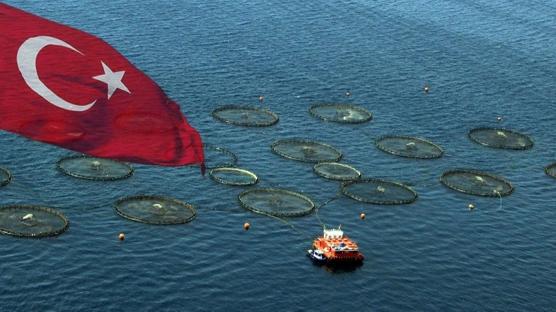 Bal�k��l�k sekt�r� destan yaz�yor! T�rkiye Avrupa ikincisi