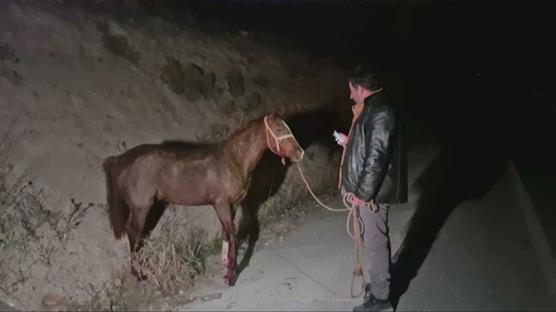 ��letmeden ka�an safkan taylar �ehri birbirine katt�