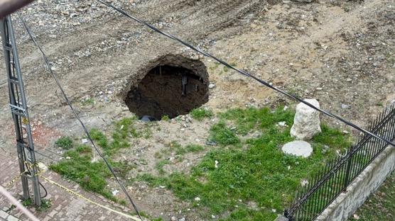 Sahibinin s�zleri �a��rtt�: Sevindim, g�m�n gitsin