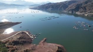 Birka� y�lda ikiye katlanacak! T�rk somonunda kritik hedef