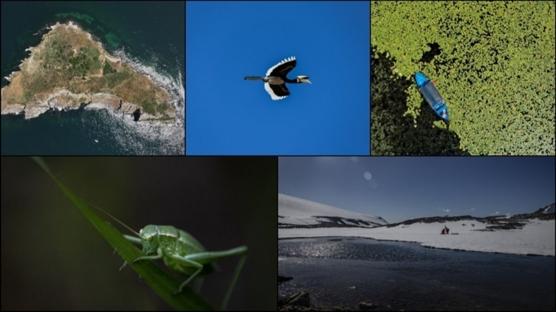 Biyolojik �e�itlilik korunacak! Yapt�r�m cezalar� y�kseldi