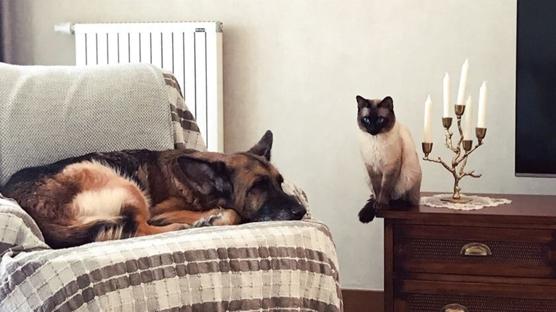 8 bin liray� a�an ceza geliyor