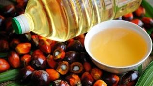 Palm ya��nda tolerans s�f�rlan�yor: Her parti �r�n analiz edilecek