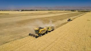 Kırsala 3 milyon avroluk hibe desteği