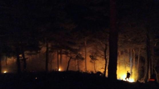 Mersin'deki orman yang�: 3 dekar alan zarar g�rd�