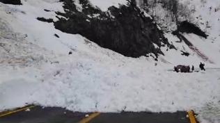 Artvin'de ��� alarm�! Ekipler b�lgeye sevk edildi