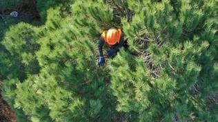 OGM 5 Ocak'a kadar i��i ba�vurular�n� alacak