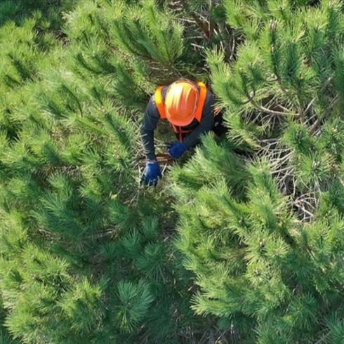 OGM 5 Ocak'a kadar i��i ba�vurular�n� alacak