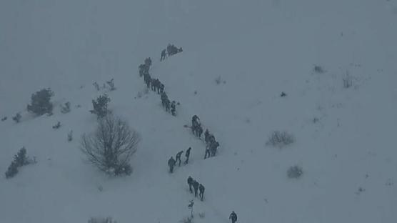 Artvin'de çığ faciası! Aramalar yeniden başladı