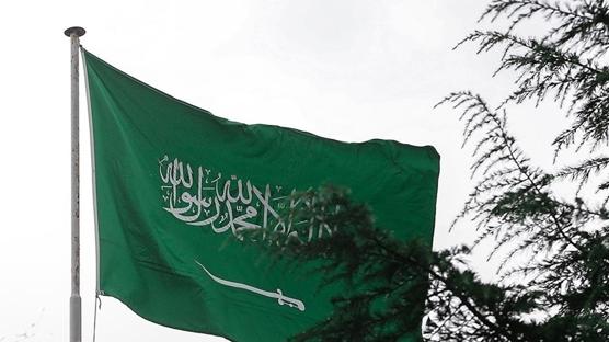 Suudi Arabistan donanması Umman Denizi'nde konuşlandı